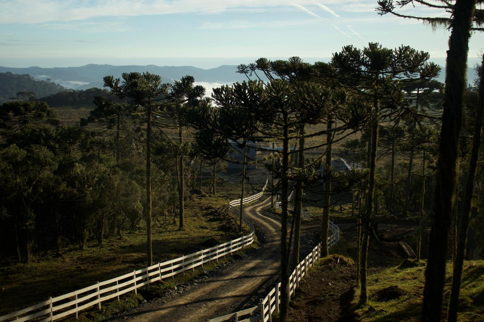 Vale Tancon Eco Village Urubici Buitenkant foto
