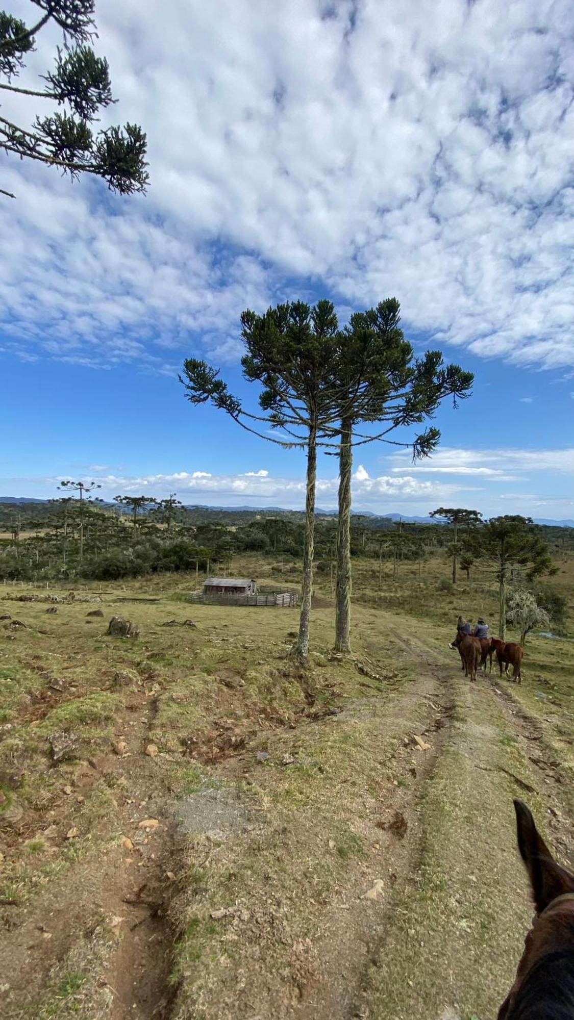 Vale Tancon Eco Village Urubici Buitenkant foto